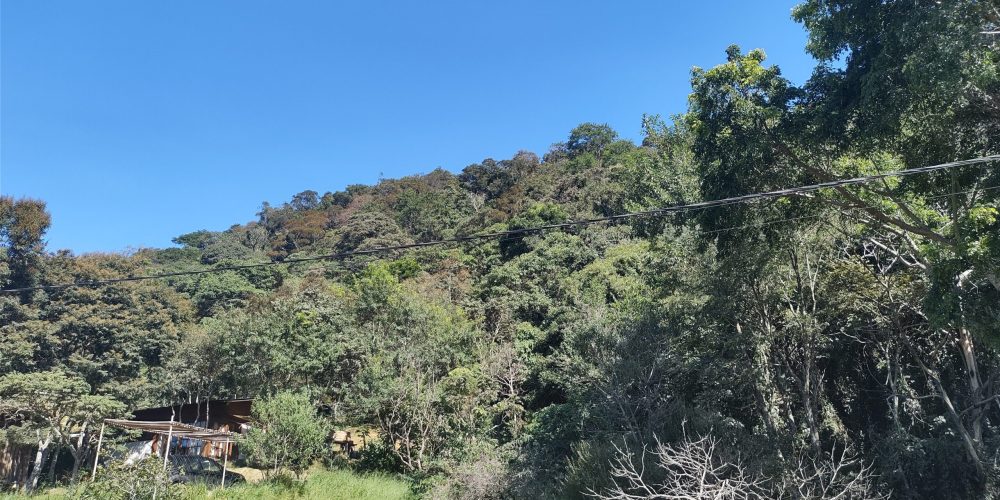 IMG_20240503_100216318_HDR